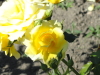 img0046.jpg