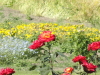 img0047.jpg