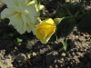 img0052.jpg