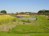 img0059.jpg