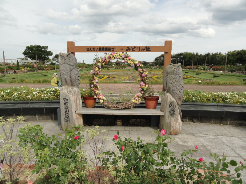 img0001.jpg