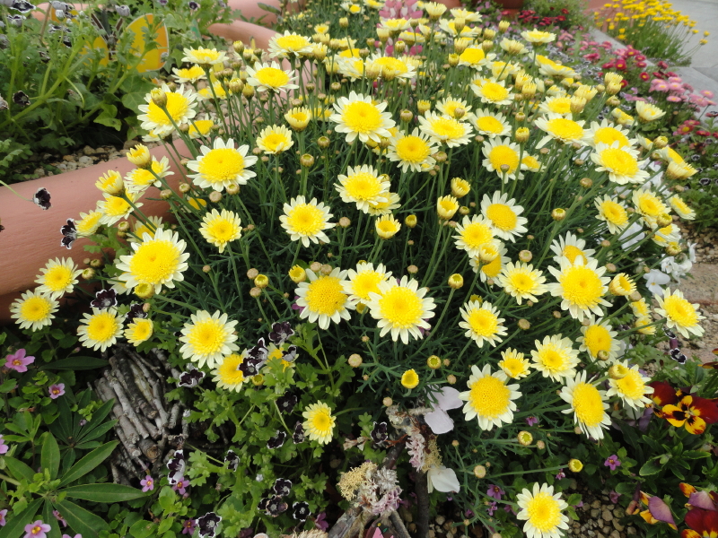 img0005.jpg