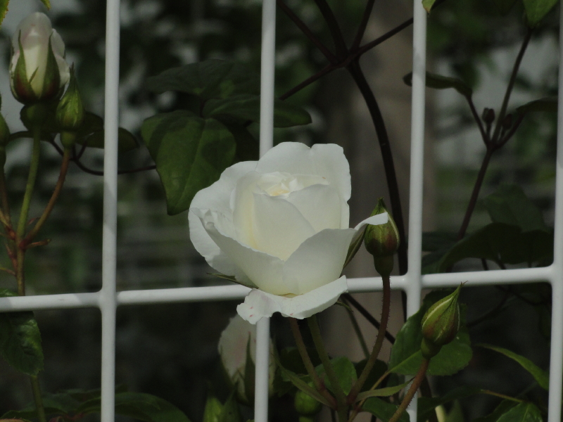 img0032.jpg