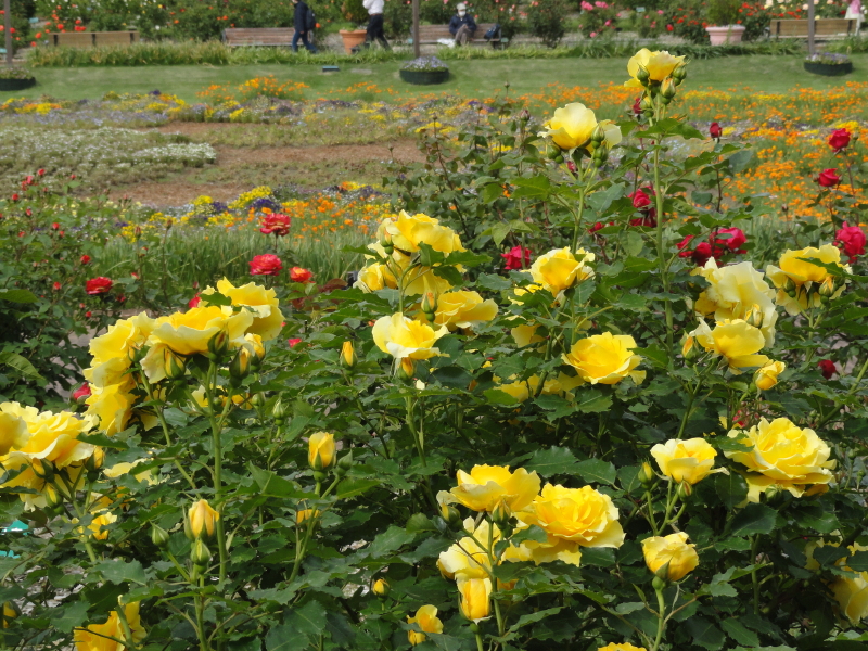 img0121.jpg
