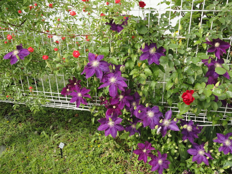 img0145.jpg