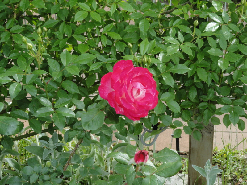 img0150.jpg