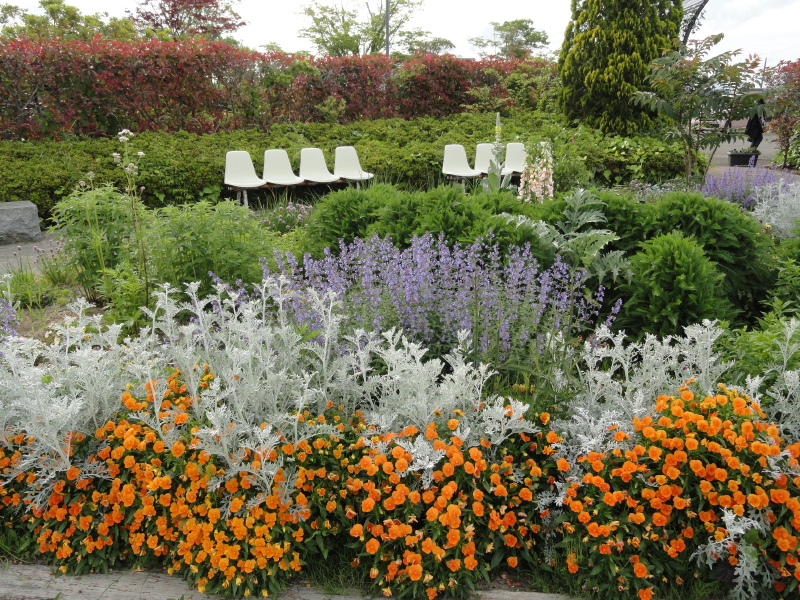 img0158.jpg