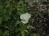 img0011.jpg