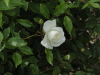 img0012.jpg
