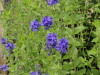 img0029.jpg