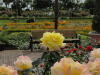 img0034.jpg