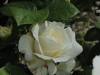 img0044.jpg