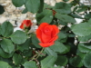 img0052.jpg