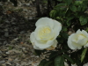 img0053.jpg