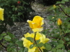 img0067.jpg