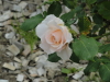 img0094.jpg