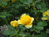 img0119.jpg