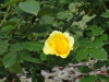 img0120.jpg
