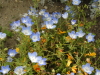 img0164.jpg
