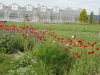 img0179.jpg