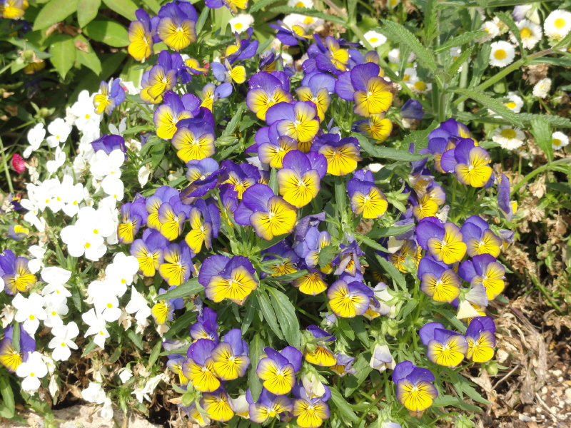 img0014.jpg