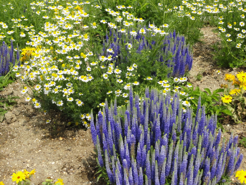 img0021.jpg