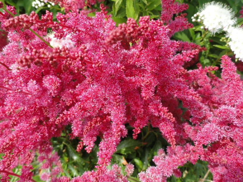 img0031.jpg