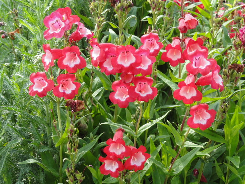 img0034.jpg