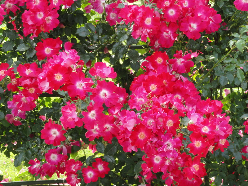 img0035.jpg