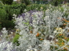 img0002.jpg