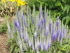 img0019.jpg