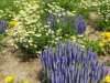 img0021.jpg