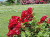img0027.jpg