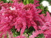 img0031.jpg