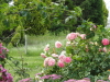 img0037.jpg