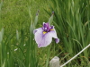 img0041.jpg