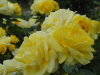 img0057.jpg