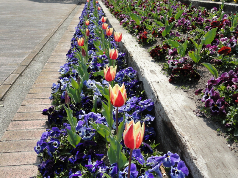 img0016.jpg