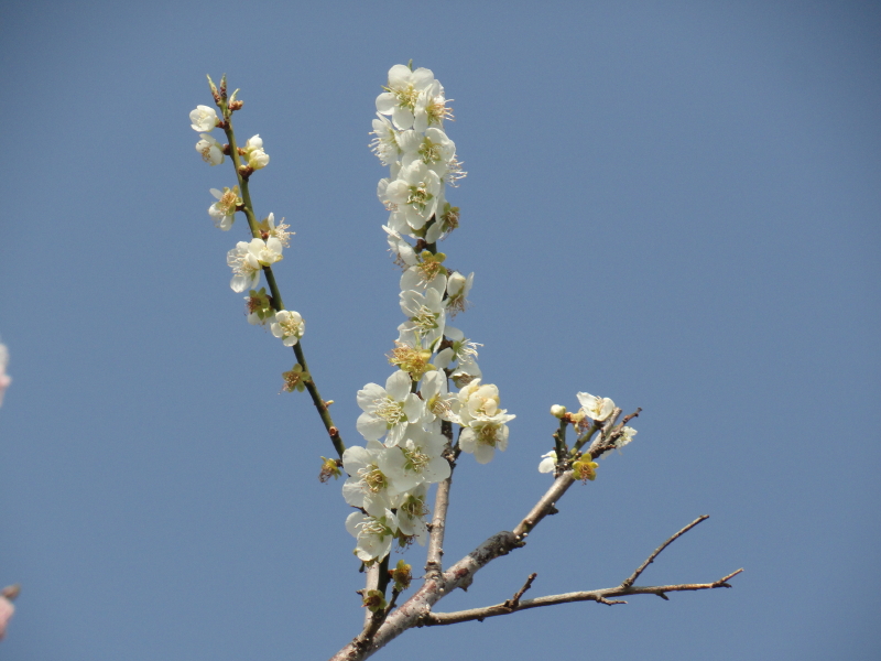 img0054.jpg