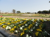 img0011.jpg