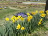 img0017.jpg