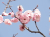 img0031.jpg