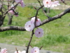 img0032.jpg