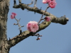 img0036.jpg
