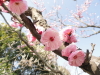 img0043.jpg