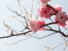 img0048.jpg