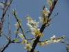img0058.jpg