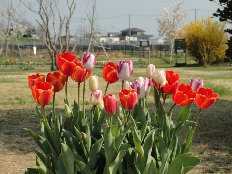 img0015.jpg