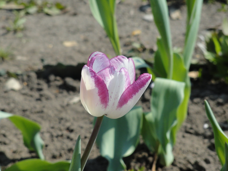 img0026.jpg