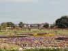 img0002.jpg